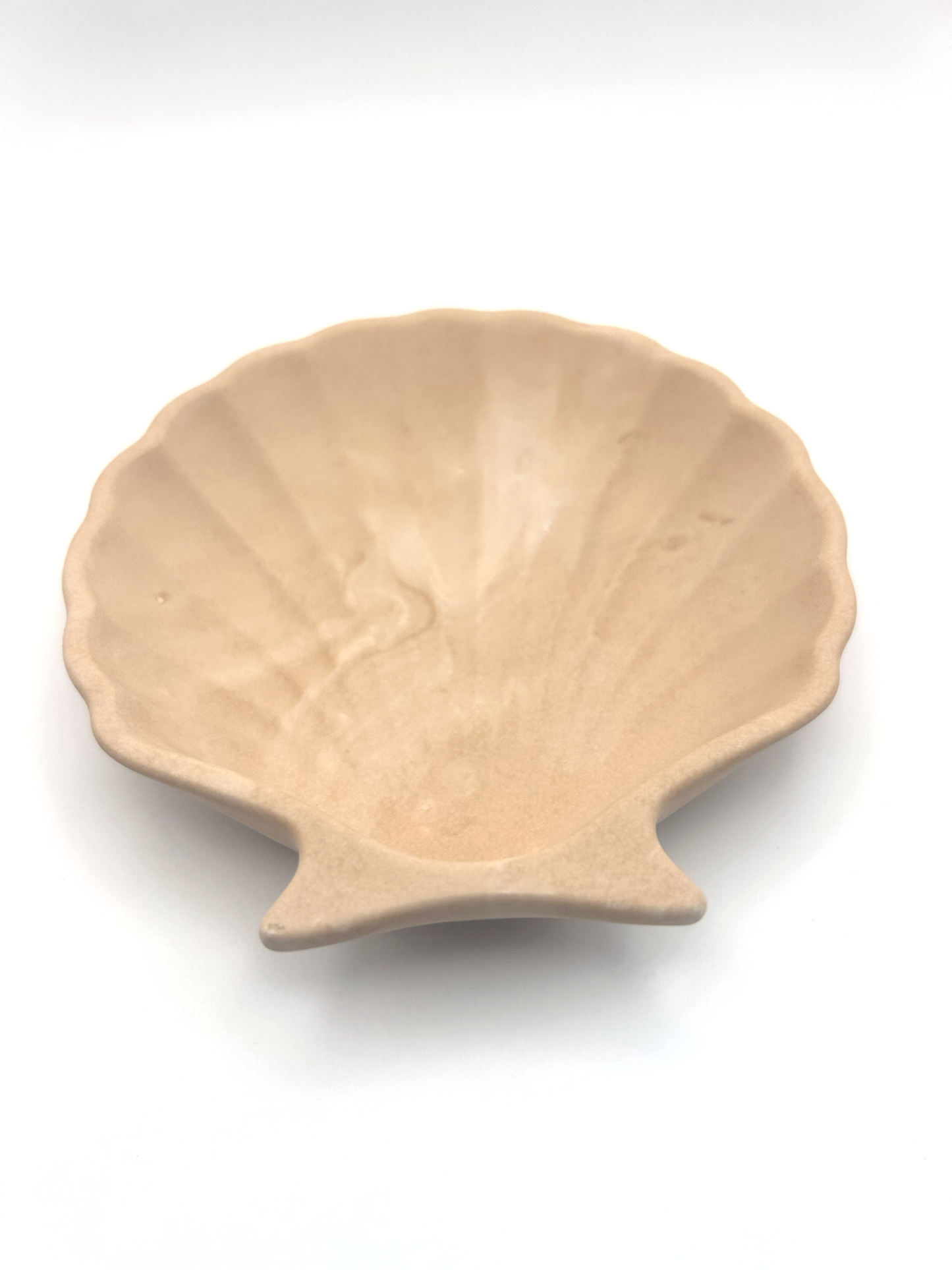 Plateau décoratif coquillage en Jesmonite 11cm x 11cm