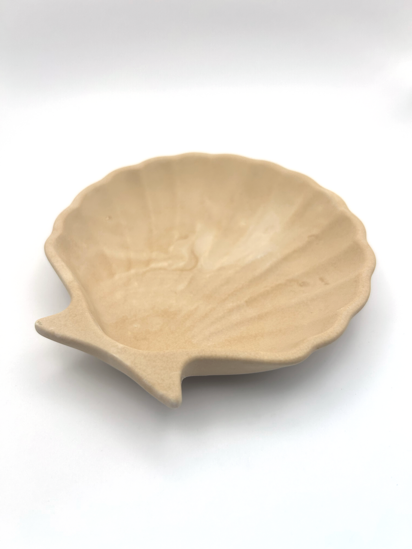 Plateau décoratif coquillage en Jesmonite 11cm x 11cm